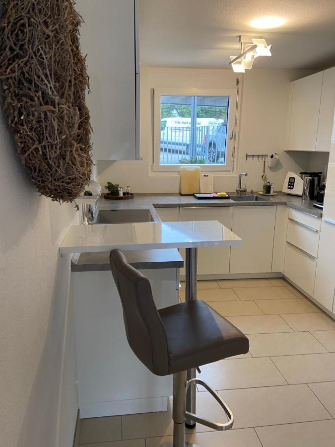 Ferienwohnung I Ferienhaus Am Bodensee I Meersburg I Sauna I Fitness Zewnętrze zdjęcie